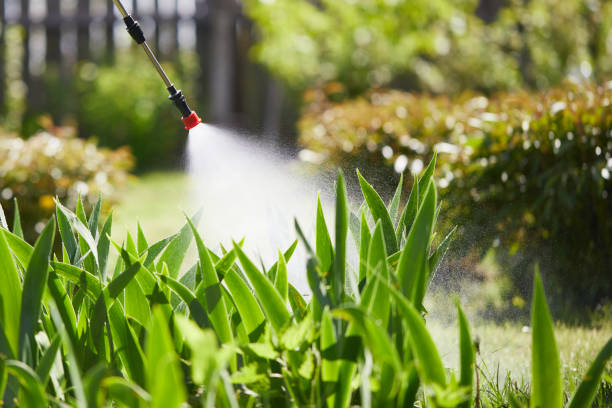 Tamper-Resistant Bait Stations for Rodents in Tilton Northfield