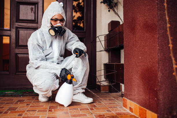 Attic and Crawl Space Rodent Treatment in Tilton Northfield