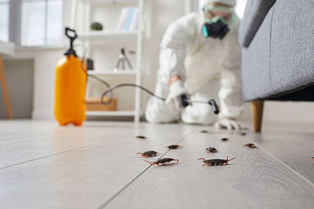 Commercial Rodent Management in Tilton Northfield